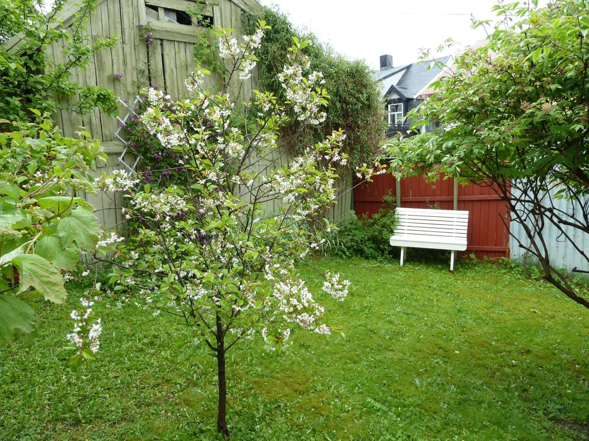 Red Old House Tromso Apartment Bagian luar foto